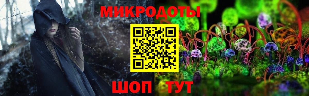 Узловая  Галлюциногенные грибы мицелий  Вход с VPN  Галлюциногенные грибы Psilocybine cubensis 