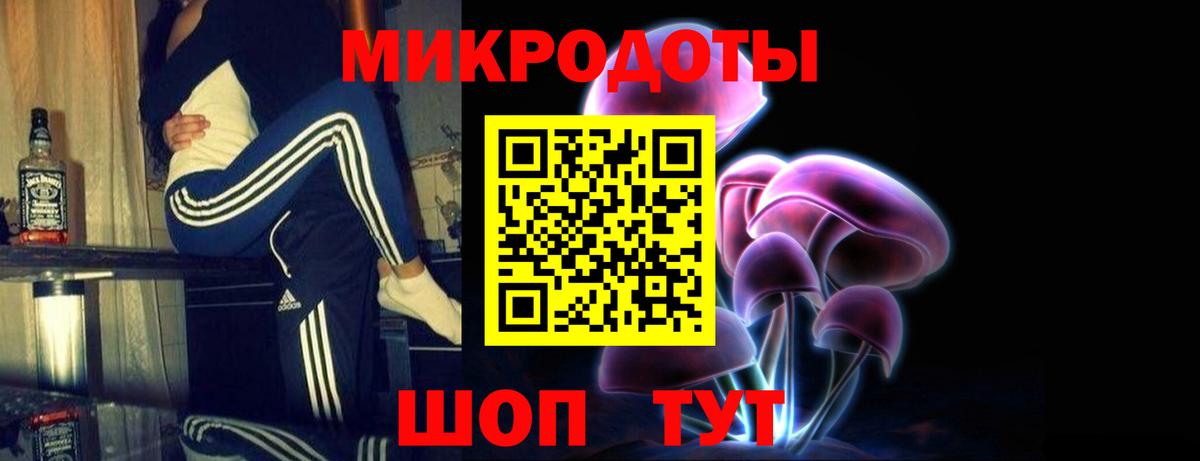 Псилоцибиновые грибы Psilocybe Узловая